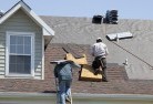 Tomewinskylights-2.jpg; ?>